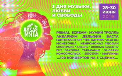 Фото: организаторы фестиваля «Дикая мята»